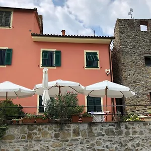 Ginestra Italia