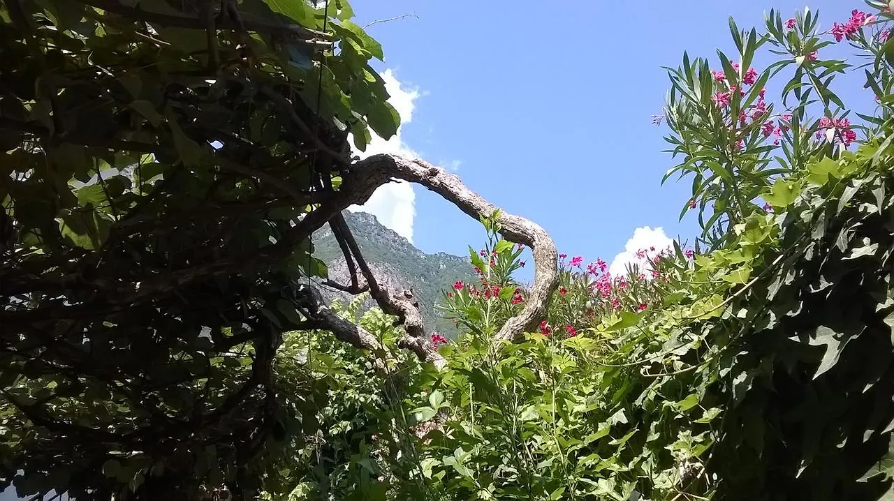 Albergo Sangalli Darfo Boario Terme Hotel